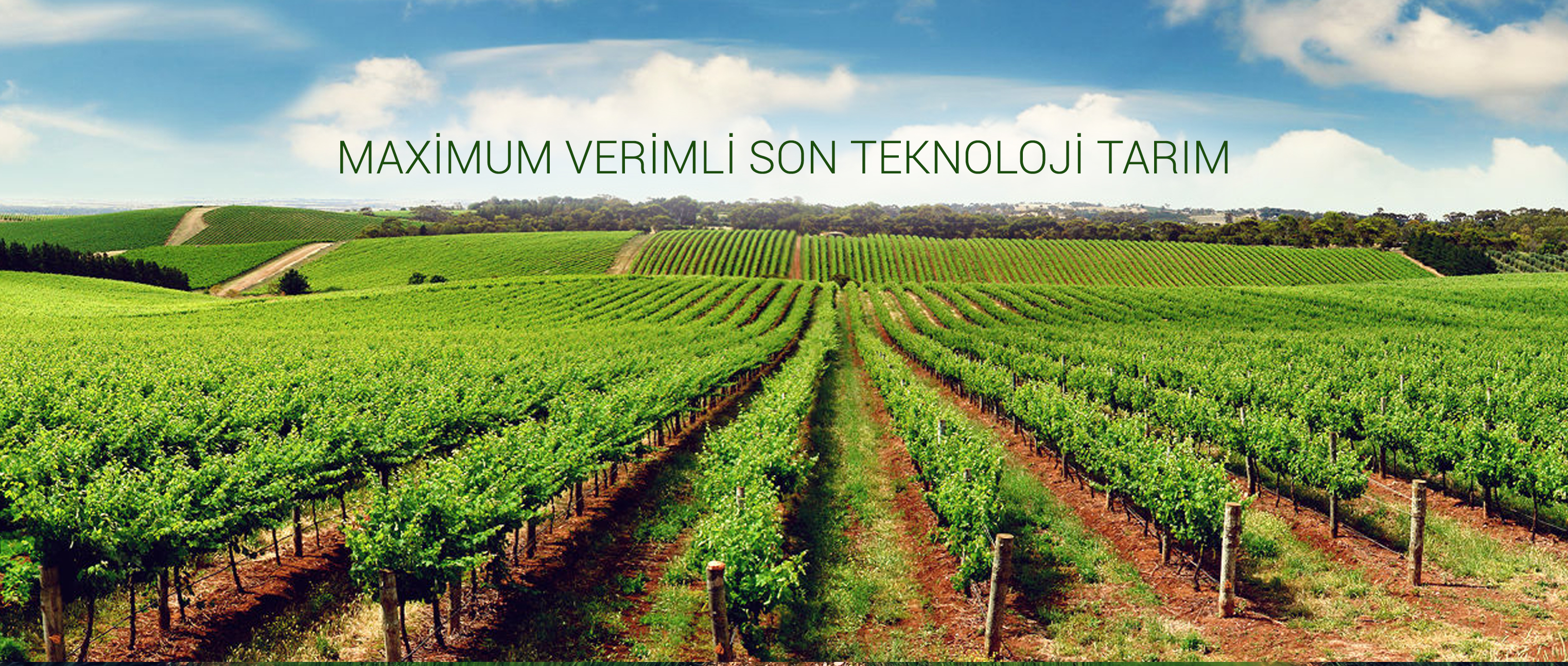 Tarım Projeleri